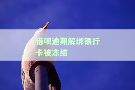 借呗逾期解绑银行卡被冻结