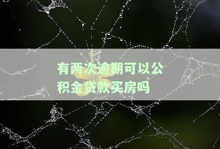 有两次逾期可以公积金贷款买房吗多少钱，逾期两次还能申请公积金贷款购房吗？额度多少？
