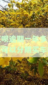 花呗逾期半年能否贷款买车？影响及解决办法