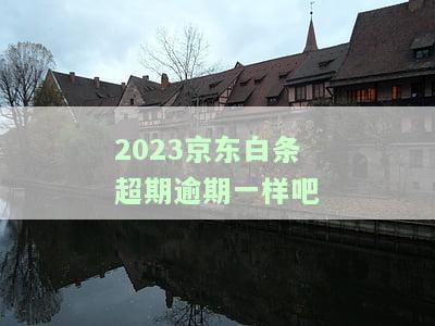 逾期32天：京东将采取哪些处理措？