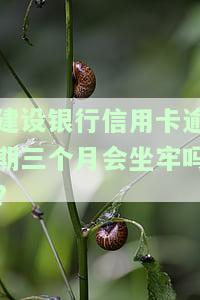 建设银行信用卡逾期三个月会坐牢吗，建设银行信用卡逾期三个月是否会被判刑？