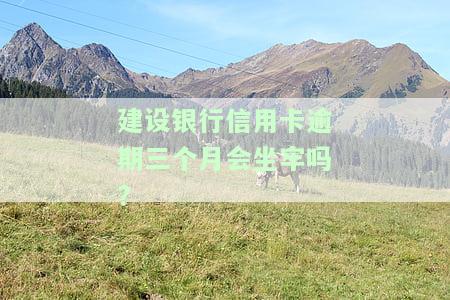 建设银行信用卡3个月未还款怎么办，信用卡逾期3个月未还，如何处理建设银行信用卡？