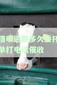 借呗逾期多久会打电话催收会不会打给通讯录的家人，借呗逾期后，真的会打电话给通讯录的家人吗？催收时间是多久？