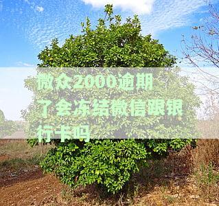 微众2000逾期会冻结微信、银行卡吗？后果及解决办法全解析