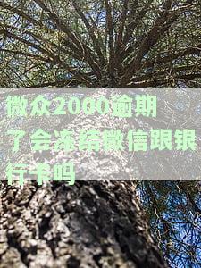 微众2000逾期上征信吗，【热点】微众2000逾期是否会上征信？你需要知道的一切