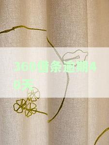 逾期4天上征信吗？影响及解决方法