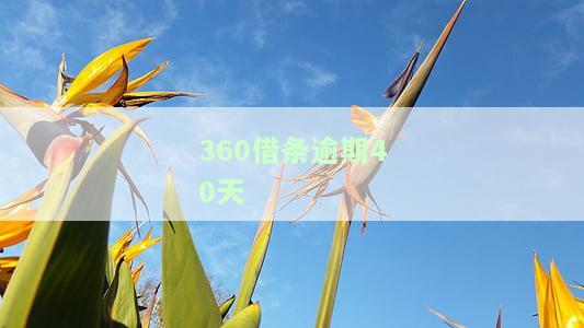 逾期四天了还没有还上怎么办，急需解决！'逾期四天未还款，该怎么办？'