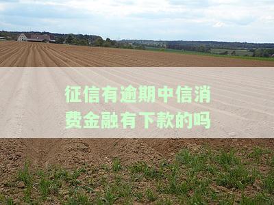 中信消费金融公司上征信吗，查询个人信用状况？了解中信消费金融公司的征信政策