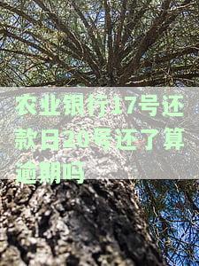 农行17号还款日账单日几号，农行信用卡还款日与账单日的关系解析：17号还款日，账单日是哪一天？