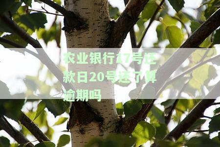 农业银行17号还款日20号还了算逾期吗-农业银行17号还款日20号还了算逾期吗怎么办
