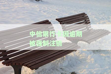 中信银行逾期一个月要全额收清：逾期还上后能否继续使用？
