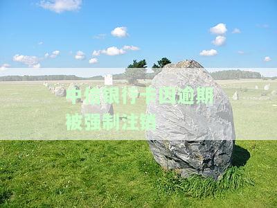 中信银行逾期多久会销卡？影响与后果全面解析