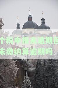 个税逾期未申报怎么办？0申报所需材料及税务处理，逾期会影响征信吗？