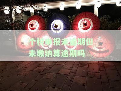 个税申报未逾期但未缴纳算逾期吗-个税申报未逾期但未缴纳算逾期吗怎么办