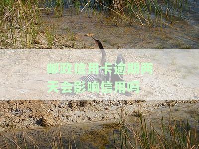 邮政信用卡逾期两天会影响信用吗怎么办，逾期两天还邮政信用卡会损害信用吗？解决方案在此！