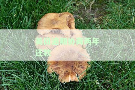 美团逾期协商两年还款有影响吗？如何解决？常见协商方案包括只还本金、降低利息等。快来了解详情！