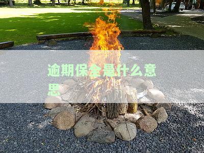 保全逾期止是什么意思？详细解释与理解