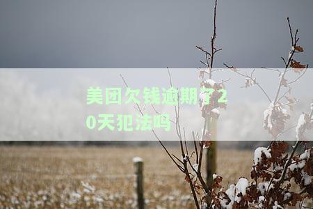 美团欠钱逾期20天是否犯法？如何处理？逾期后果及解决方案