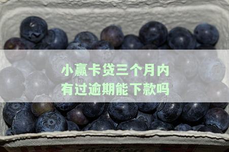 小赢卡贷三个月内有过逾期能下款吗