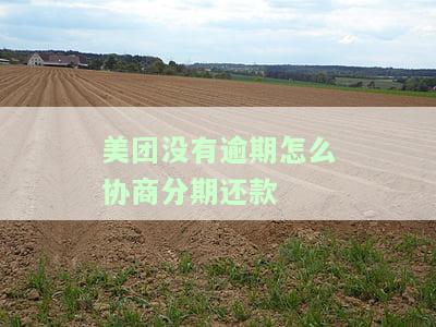 美团欠款可以协商对剩下的欠款分期吗，美团欠款如何协商分期还款？