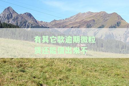 其他逾期微粒贷会影响使用吗？已有逾期记录是否能再借款？