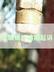 上海华瑞银行逾期：一天会上征信吗？四天会上报吗？能否减免服务费？还可以再借吗？已收到法院起诉短信，加入逾期群讨论。