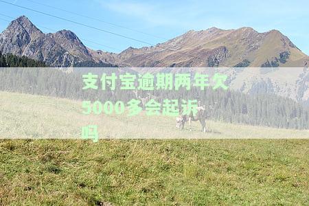 支付宝欠6千逾期两年，会有什么后果？如何处理？可能被起诉吗？
