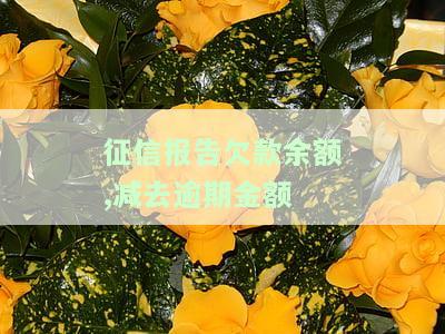 征信里面余额与逾期金额含义及还款方式解析