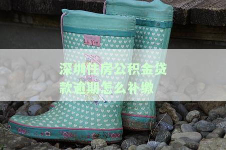 深圳公积金逾期一天会否影响征信？如何处理逾期问题？