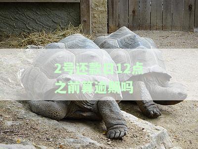 2号还款几号出账，如何查询信用卡账单及还款日期？