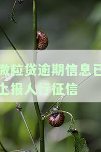 微粒贷逾期信息提示：真相、关闭、解决及原因解析，包括12号还款期限和无法还款情况