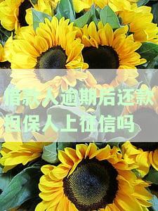 借款人逾期后还款担保人会否上征信？如何处理？