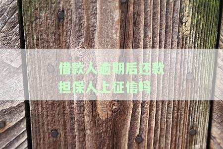 借款人还款逾期对担保人有何影响？探讨其可能的后果与影响围