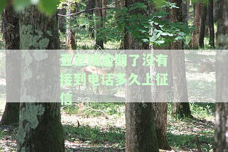 豆豆钱逾期了没有接到电话多久上征信-豆豆钱逾期三天没接到电话会不会打联系人电话