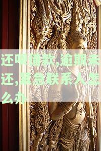 还呗借款,逾期未还,紧急联系人怎么办