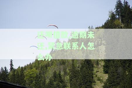 还呗借款,逾期未还,紧急联系人怎么办