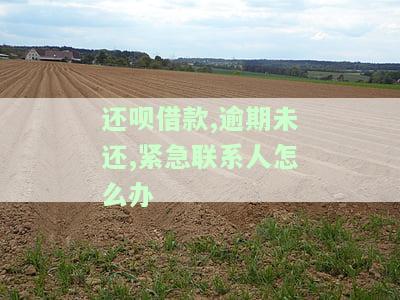 还呗借款,逾期未还,紧急联系人怎么办
