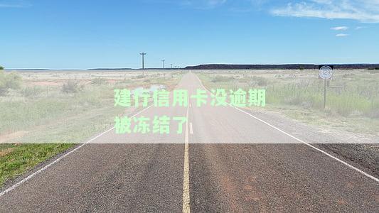 建行信用卡没逾期被冻结了