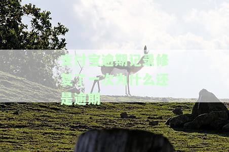 支付宝逾期修复了怎么还显示有逾期，支付宝逾期已修复，为何仍显示逾期？