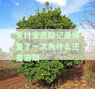 支付宝显示修复逾期记录，支付宝修复逾期记录功能已上线，轻松解决信用问题