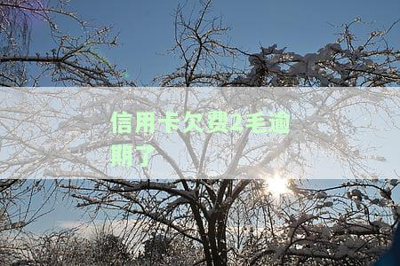 2021年信用卡逾期2天，2021年信用卡逾期两天：影响及解决方法