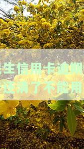 民生信用卡逾期停卡还清了不能用了