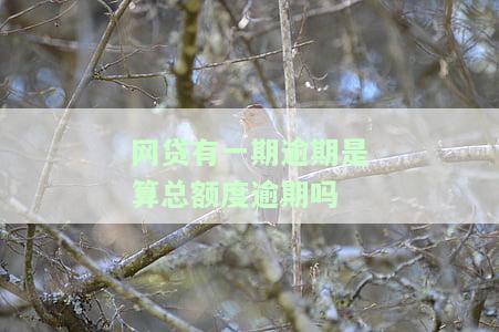 网贷逾期一期下期是不是还会催收，网贷逾期一期，下期是否还会被催收？