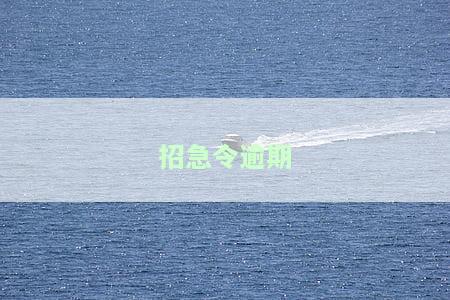 招急令逾期一天是否会影响征信？召集令逾期一天还款的影响