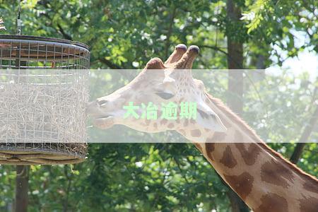 大贷款公司的电话，联系方式便捷，大贷款公司电话全览