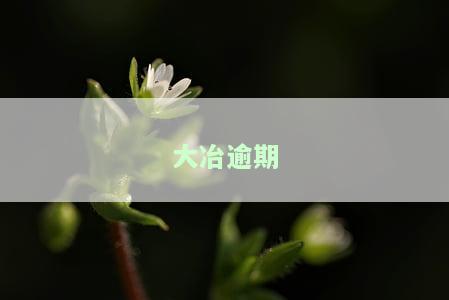 大债券违约，大债券违约事件引发市场关注