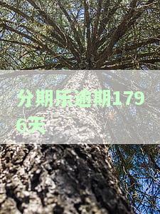 分期乐逾期了3几天,会有什么后果，警惕！分期乐逾期三天的严重后果