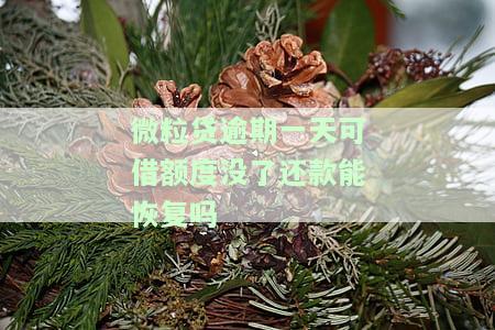 微粒贷逾期一天还清，额度未降，是否能继续借款？