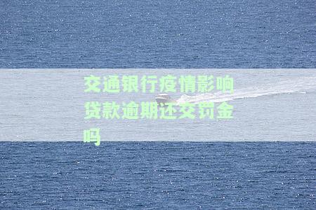 交通银行疫情还款政策，保障您的还款权益：交通银行疫情期间的还款政策解读