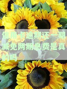 2021年信用卡逾期减免政策全面解析与文件解读